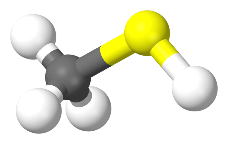 Methyl mercaptan (Mercaptan sulfur)